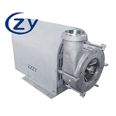 Premium High-Power Cassava Fiber Pump Customized for High-Yield Cassava Starch Processing Lines